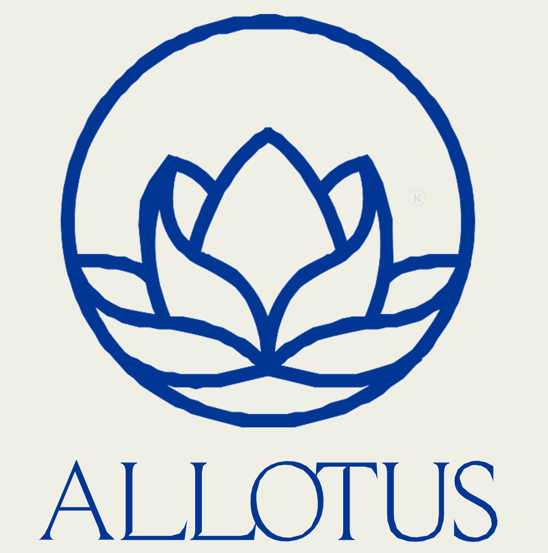 Allotus Fashion Group